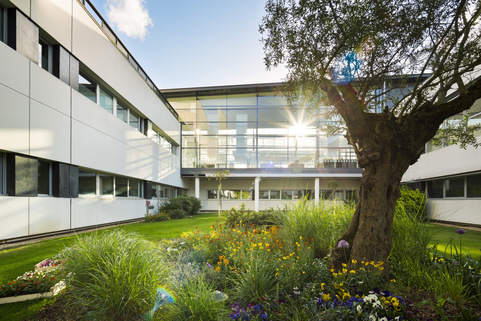 MBA - Michel Beauvais Associés, CH de Saintonge - 010
